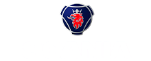 Codema Seminovos - Scania
